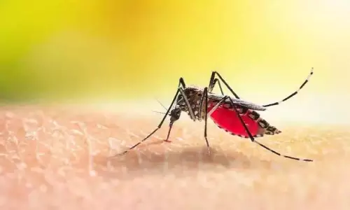Kerala : नाथूर वार्ड में मलेरिया की पुष्टि Kerala : नाथूर वार्ड में मलेरिया की पुष्टि