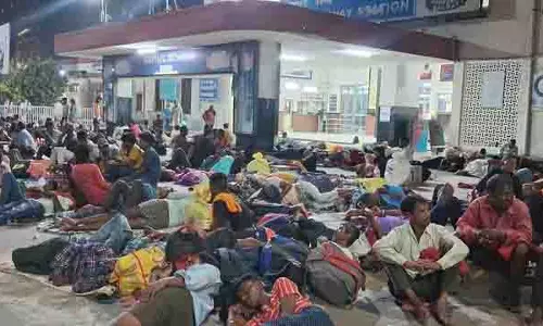 Jalandhar: धान के सीजन के लिए मजदूर आने से किसान राहत में Jalandhar: धान के सीजन के लिए मजदूर आने से किसान राहत में