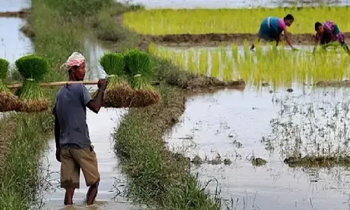 District प्रशासन ने तामुलपुर में फसल बीमा सप्ताह मनाने की योजना बनाई District प्रशासन ने तामुलपुर में फसल बीमा सप्ताह मनाने की योजना बनाई