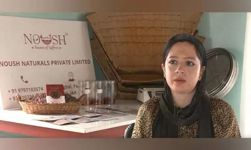 Jammu: केसर की रानी ने पारंपरिक फसल को वैश्विक सफलता में बदल दिया Jammu: केसर की रानी ने पारंपरिक फसल को वैश्विक सफलता में बदल दिया