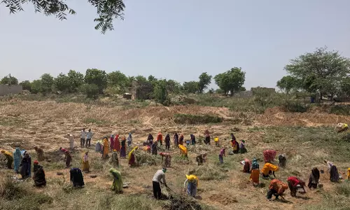 Alwar : जिलेभर में विभिन्न गतिविधियां आयोजित जल संचय स्थलों की साफ-सफाई Alwar : जिलेभर में विभिन्न गतिविधियां आयोजित जल संचय स्थलों की साफ-सफाई