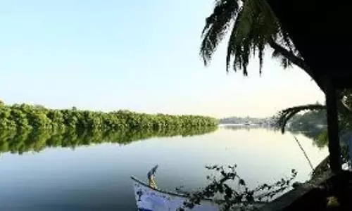 Goa के साल और तेरेखोल मुहाने पर बढ़ते माइक्रोप्लास्टिक प्रदूषण का खतरा