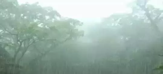 सुबह बारिश के बाद रायपुर में निकली धूप, शाम को आंधी-तूफान का अलर्ट सुबह बारिश के बाद रायपुर में निकली धूप, शाम को आंधी-तूफान का अलर्ट