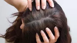 Hair Care Tips: झड़ते बालों से हैं परेशान तो आजमाएं ये घरेलू उपाय Hair Care Tips: झड़ते बालों से हैं परेशान तो आजमाएं ये घरेलू उपाय