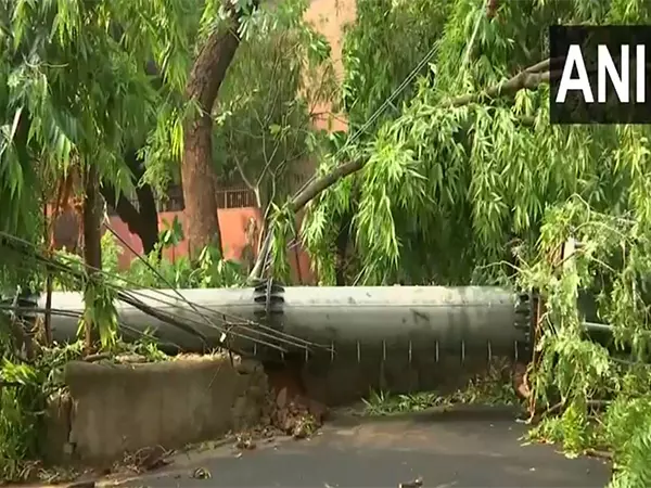 Delhi में रात भर हुई बारिश के बाद सफदरजंग एन्क्लेव में मोबाइल टावर गिर गया Delhi में रात भर हुई बारिश के बाद सफदरजंग एन्क्लेव में मोबाइल टावर गिर गया