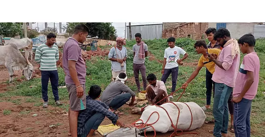 मानसून की बुआई लगभग पूरी हो चुकी है; खरपतवार से निपटने की तैयारी चल रही मानसून की बुआई लगभग पूरी हो चुकी है; खरपतवार से निपटने की तैयारी चल रही