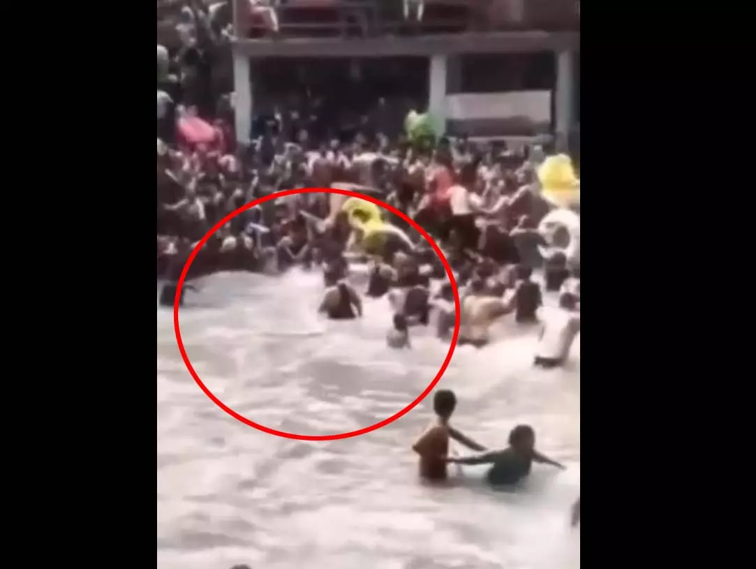 पानी में मस्ती कर रहे थे पर्यटक, अचानक आ गया सांप, फिर... पानी में मस्ती कर रहे थे पर्यटक, अचानक आ गया सांप, फिर...