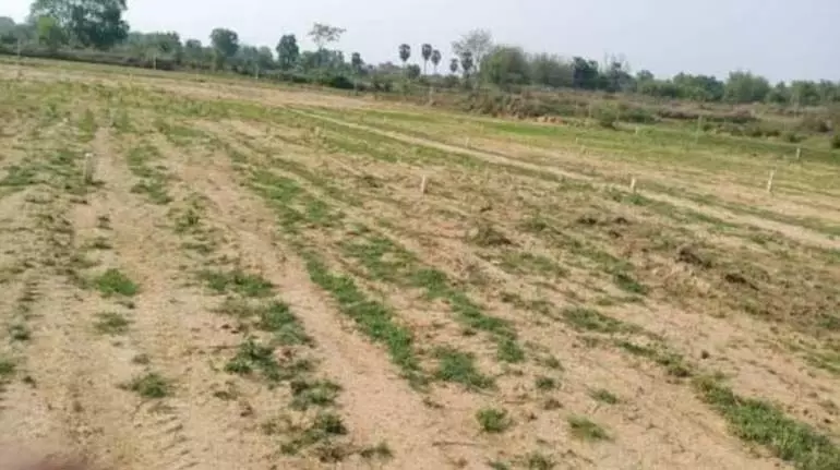 जमीन के मालिकाना हक के लिए इंतजार जारी; जिले में 64,796 आवेदक जमीन के मालिकाना हक के लिए इंतजार जारी; जिले में 64,796 आवेदक