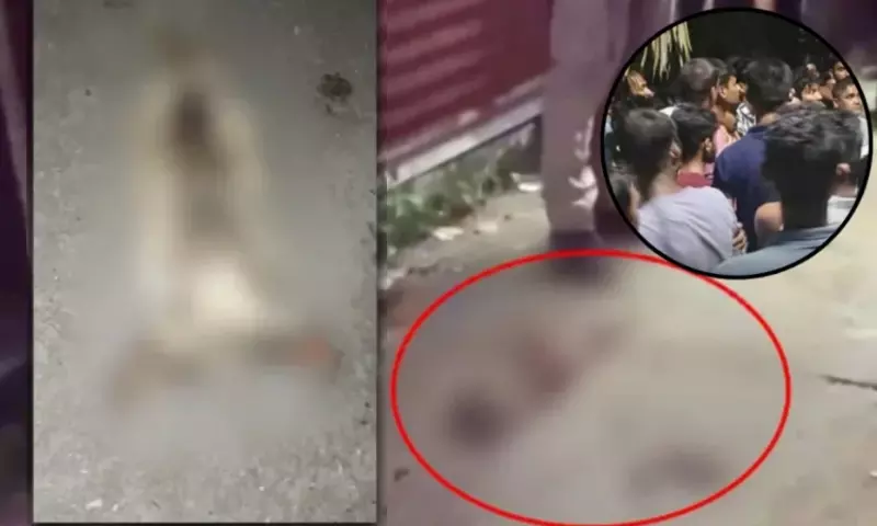 Assam: लखीपुर में काली मंदिर के पास कटा हुआ गाय का सिर मिलने से आक्रोश Assam: लखीपुर में काली मंदिर के पास कटा हुआ गाय का सिर मिलने से आक्रोश