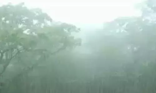 सुबह बारिश के बाद रायपुर में निकली धूप, शाम को आंधी-तूफान का अलर्ट