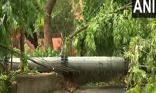 Delhi में रात भर हुई बारिश के बाद सफदरजंग एन्क्लेव में मोबाइल टावर गिर गया Delhi में रात भर हुई बारिश के बाद सफदरजंग एन्क्लेव में मोबाइल टावर गिर गया