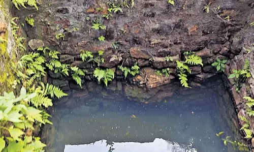 AP: वर्षा जल संचयन से श्रीकाकुलम-पार्वतीपुरम जिलों में जनजातीय जीवन में बदलाव