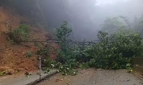 देवीमने घाट पर फिर भूस्खलन; वाहनों का आवागमन पूरी तरह बंद