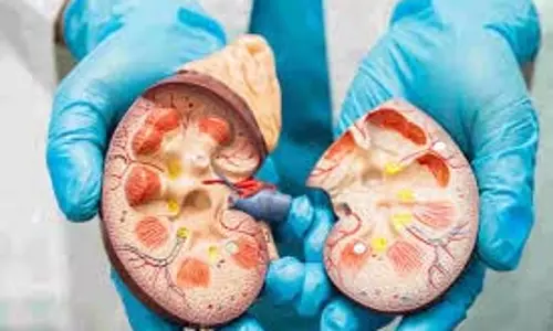 Health: किडनी में पथरी क्यों होती है, इससे सेहत से क्या नुकसान होता है Health: किडनी में पथरी क्यों होती है, इससे सेहत से क्या नुकसान होता है