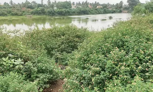Haveri : रचनाकट्टी झील कायाकल्प का इंतजार कर रही