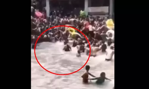 पानी में मस्ती कर रहे थे पर्यटक, अचानक आ गया सांप, फिर... पानी में मस्ती कर रहे थे पर्यटक, अचानक आ गया सांप, फिर...