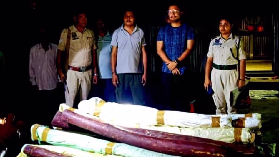 Assam पुलिस ने गोसाईगांव में एक करोड़ रुपये से अधिक कीमत की लाल चंदन की लकड़ी जब्त Assam पुलिस ने गोसाईगांव में एक करोड़ रुपये से अधिक कीमत की लाल चंदन की लकड़ी जब्त