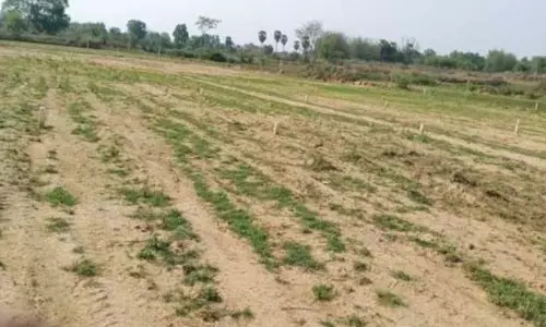 जमीन के मालिकाना हक के लिए इंतजार जारी; जिले में 64,796 आवेदक जमीन के मालिकाना हक के लिए इंतजार जारी; जिले में 64,796 आवेदक