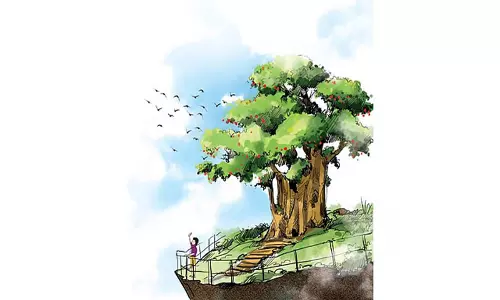 वेदांता दो जिलों में एक लाख पौधे लगाएगा