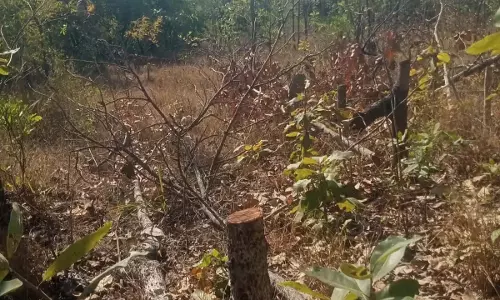 Telangana: भ्रष्टाचार-अवैध भूमि बिक्री ने पोडू समस्या को एक नया आयाम दिया Telangana: भ्रष्टाचार-अवैध भूमि बिक्री ने पोडू समस्या को एक नया आयाम दिया