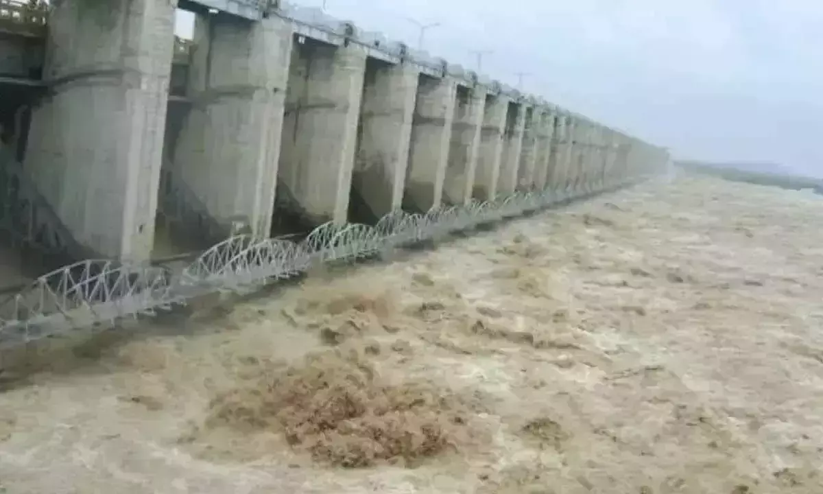 PJP बांध में भारी जलप्रवाह दर्ज किया गया; 34,772 क्यूसेक डिस्चार्ज के साथ बिजली उत्पादन चरम पर