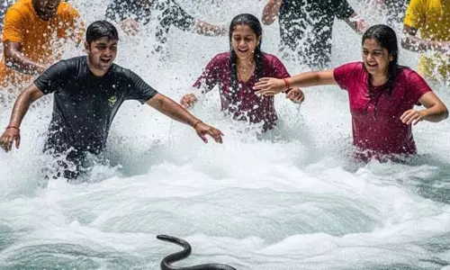 Mussoorie के प्रसिद्ध केम्पटी फॉल में घुसा सांप Mussoorie के प्रसिद्ध केम्पटी फॉल में घुसा सांप