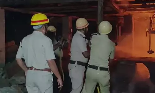 लकड़ी मिल में भीषण आग लग गई लकड़ी मिल में भीषण आग लग गई