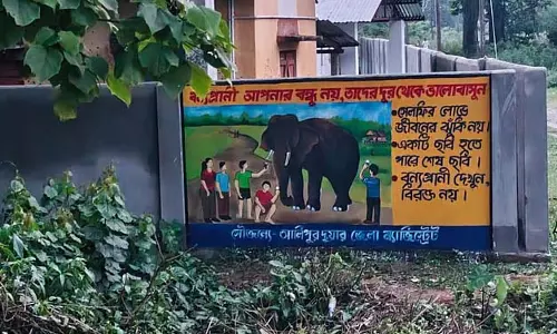 हाथियों के रंगीन भित्तिचित्र दोस्ती का संदेश देते हैं
