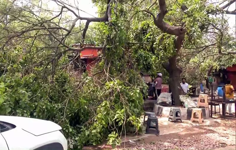 आरके पुरम में बिजली का करंट लगने से दो ढाबा कर्मचारियों की मौत आरके पुरम में बिजली का करंट लगने से दो ढाबा कर्मचारियों की मौत