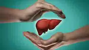 Health: क्यों होता है लिवर में संक्रमण, जानिए इसके कारण, लक्षण और बचाव के तरीके Health: क्यों होता है लिवर में संक्रमण, जानिए इसके कारण, लक्षण और बचाव के तरीके