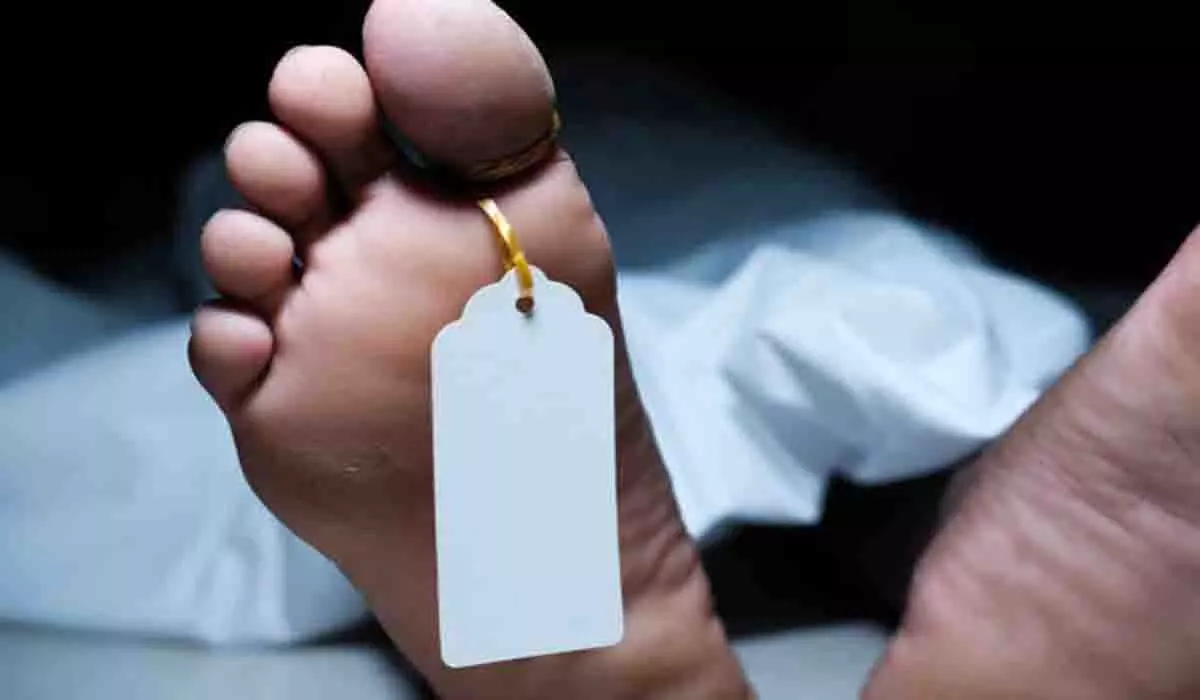 Up News: खेत जोतते समय रोटावेटर में फंसकर किशोर की मौत, मची चीख पुकार Up News: खेत जोतते समय रोटावेटर में फंसकर किशोर की मौत, मची चीख पुकार