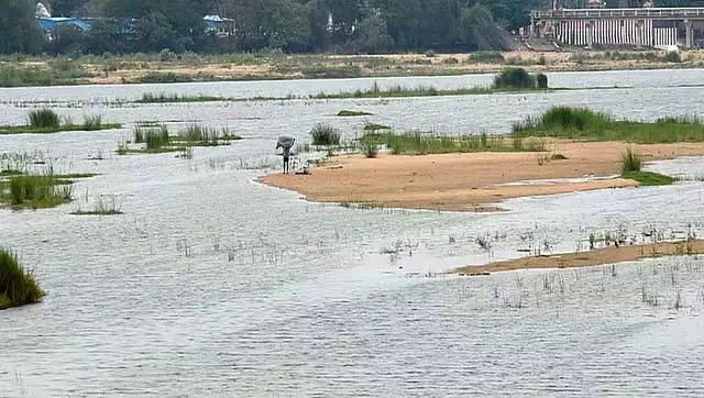 Karnataka : पश्चिमी चैनल में हड्डियों के डंपिंग के कारण कावेरी नदी प्रदूषित Karnataka : पश्चिमी चैनल में हड्डियों के डंपिंग के कारण कावेरी नदी प्रदूषित