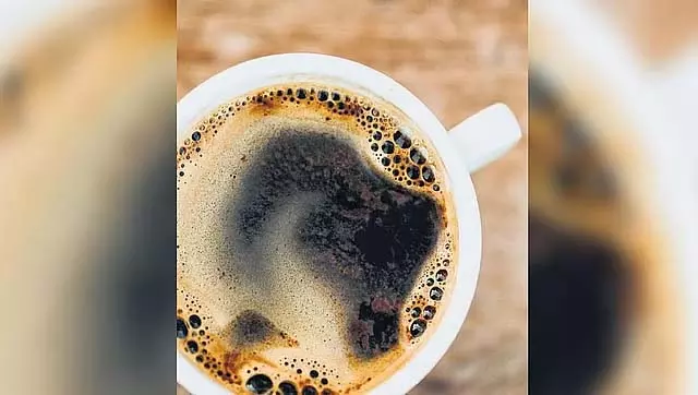 राज्य की कॉफी के लिए नंदिनी जैसा ब्रांड स्थापित किया जाए: उत्पादकों की मांग राज्य की कॉफी के लिए नंदिनी जैसा ब्रांड स्थापित किया जाए: उत्पादकों की मांग