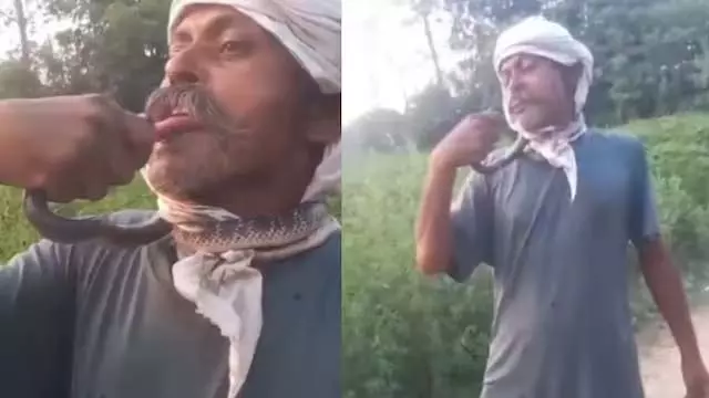 सांप को किस करना पड़ा भारी, युवक ज़हर से तड़पता पहुंचा अस्पताल सांप को किस करना पड़ा भारी, युवक ज़हर से तड़पता पहुंचा अस्पताल