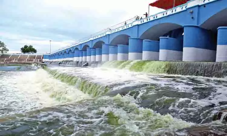 Tamil Nadu: डेल्टा क्षेत्र के किसानों ने बड़ी उम्मीदों के साथ नए खेती सत्र की शुरुआत की Tamil Nadu: डेल्टा क्षेत्र के किसानों ने बड़ी उम्मीदों के साथ नए खेती सत्र की शुरुआत की