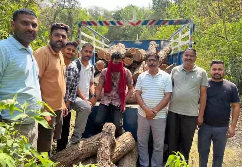 इंदौरा रेंज में अंतरराज्यीय Khair लकड़ी तस्करी रैकेट का भंडाफोड़ इंदौरा रेंज में अंतरराज्यीय Khair लकड़ी तस्करी रैकेट का भंडाफोड़