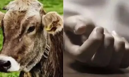 Ballia News: गाय के हमले में किसान की मौत, गांव में फैला शोक