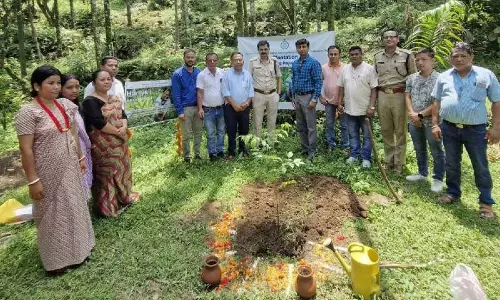 Kalimpong ब्लॉकों में प्राकृतिक झरनों को हरित पुनरुद्धार के लिए तैयार किया Kalimpong ब्लॉकों में प्राकृतिक झरनों को हरित पुनरुद्धार के लिए तैयार किया