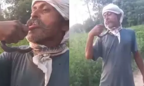 सांप को किस करना पड़ा भारी, युवक ज़हर से तड़पता पहुंचा अस्पताल