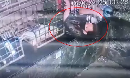 LIVE वीडियो, ऐसा लचीला चोर नहीं देखा होगा