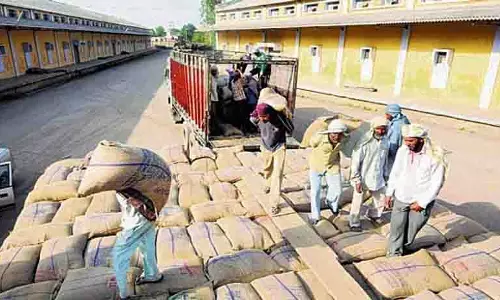 10 लाख मीट्रिक टन चावल बाहर भेजा गया, FCI ने खरीफ फसलों के लिए पंजाब के गोदामों को खाली किया