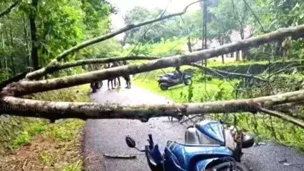 Kerala में भारी बारिश से मरने वालों की संख्या चार हुई, दो लापता Kerala में भारी बारिश से मरने वालों की संख्या चार हुई, दो लापता