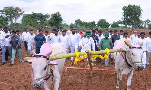 जून के अंत तक स्थानीय निकाय चुनावों का कार्यक्रम: Ponguleti