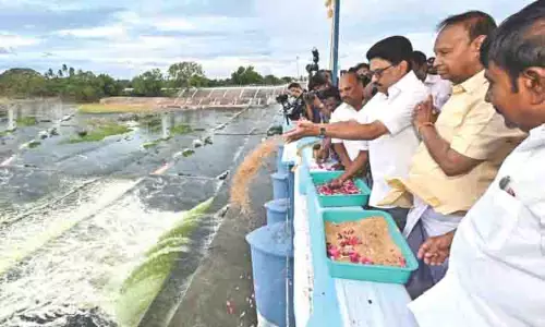 Tamil Nadu: डेल्टा की धान की फ़सल के लिए कल्लनई को खोला गया