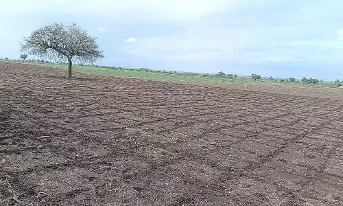 Gudageri : चूहे से भरा पत्थर Gudageri : चूहे से भरा पत्थर