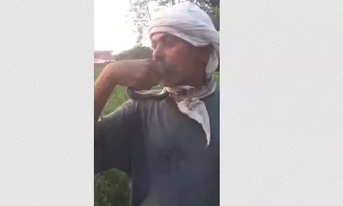 UP में चूमने और खेलने वाले की जीभ पर सांप ने काट ली UP में चूमने और खेलने वाले की जीभ पर सांप ने काट ली