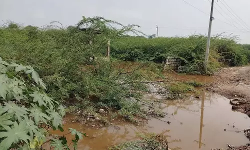प्री-मानसून: 13.16 हेक्टेयर क्षेत्र क्षतिग्रस्त प्री-मानसून: 13.16 हेक्टेयर क्षेत्र क्षतिग्रस्त