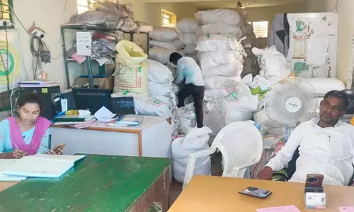 Kalaburagi : गन्ना, कपास के प्रति किसानों का रुझान