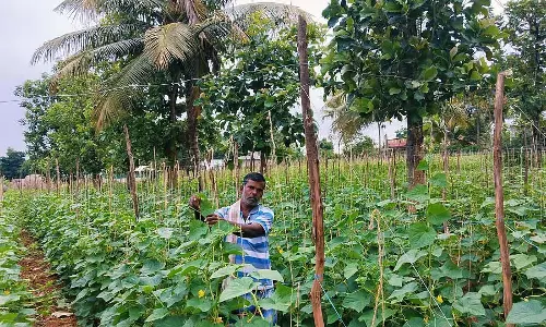 Karnataka : भेड़ और सब्जियों के माध्यम से आत्मनिर्भरता