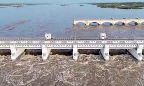 डेल्टा धान की फसलों के लिए कल्लनई को खोला गया
